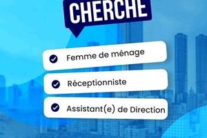 MITADY RECEPTIONNISTE/FEMME DE MENAGE/ASSISTANTE DE DIRECTION