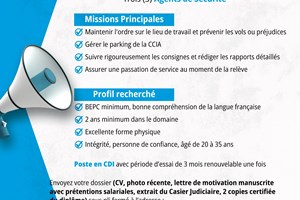 MITADY 03 AGENTS DE SECURITE 