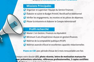 MITADY CHEF DE SERVICE FINANCE 