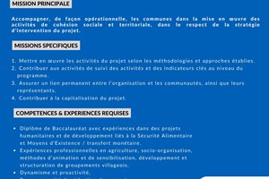 MITADY ASSISTANTE 02 