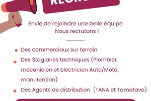 MITADY COMMERCIAUX/AGENT DE DISTRUBUTION/AGENT TECHNIQUE 