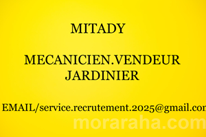 MITADY MECANICIEN/VENDEUR/JARDINIER 