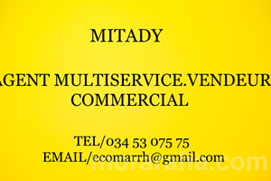 MITADY AGENT MULTISERVICE/VENDEUR/COMMERCIAL