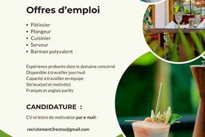MITADY PATISSIER/PLONGEUR/CUISINIER/SERVEUR/BARMAN 