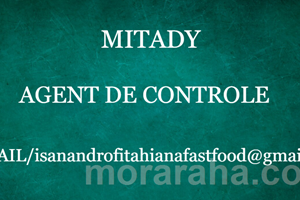 MITADY AGENT DE CONTROLE 