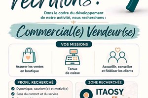 MITADY COMMERCIAL/VENDEUR/VENDEUSE 