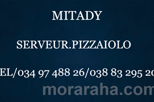 MITADY PIZZAIOLO/SERVEUR