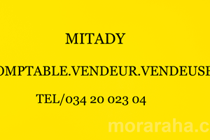 MITADY COMPTABLE/VENDEUR/VENDEUSE 